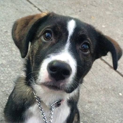 12390884_10153748546711605_3063847096586502416_n